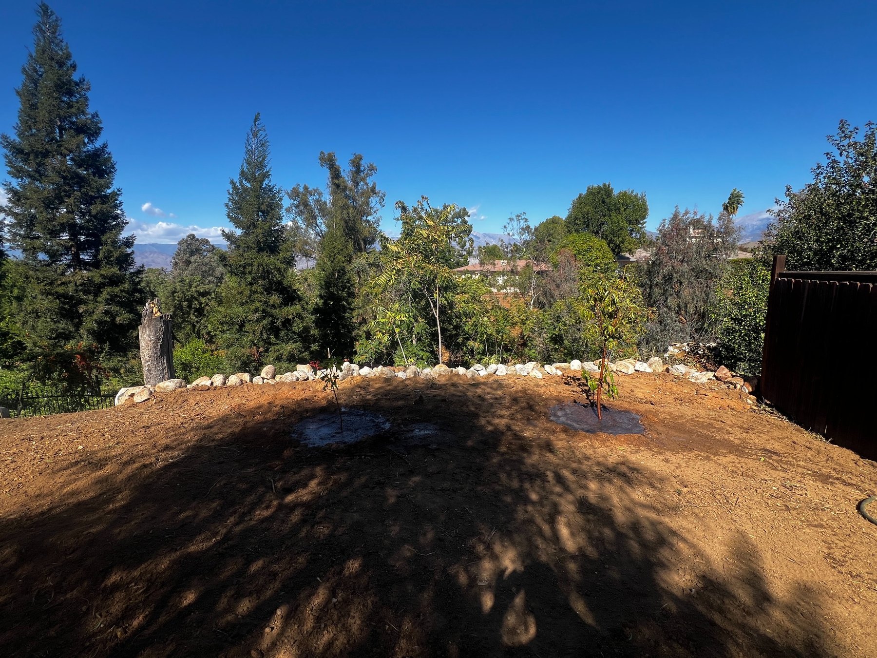 Yard after landscape work, opened view across the property, view two